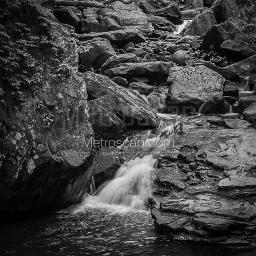 Wolf Creek Falls -- Charleston WV Black and White Photos