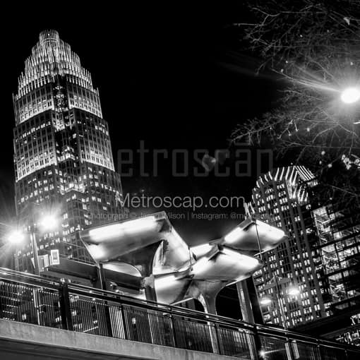 A Charlotte Lynx Rail Station -- Charlotte Black and White Photos