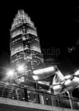 Vertical A Charlotte Lynx Rail Station black and white Photos