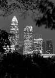 Vertical The Charlotte Skyline at Night black and white Photos