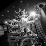 Square The Firebird Sculpture Outside of the Bechtler Center black and white Photos