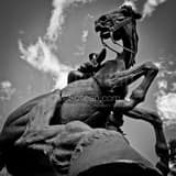 Square The Spirit of Wyoming Horse black and white Pictures