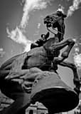 Vertical The Spirit of Wyoming Horse black and white Pictures