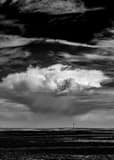 Vertical A Thunderhead Cloud over the Wyoming Plains black and white Pictures