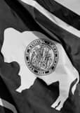 Vertical Wyoming Flag Photography