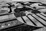 Horizontal Wyoming State Seal on the Capitol Grounds black and white Pictures