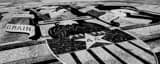 Panoramic Wyoming State Seal on the Capitol Grounds black and white Pictures