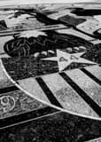 Vertical Wyoming State Seal on the Capitol Grounds black and white Pictures
