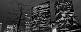 Panoramic 333 West Wacker Building Reflects into the Chicago River landscape black and white Photography