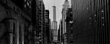 Panoramic A Chicago El Train and Trump Tower landscape black and white Photography