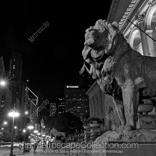 The Chicago Art Institute Lion -- Chicago Black and White Photography