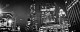 Panoramic The University of Chicago landscape black and white Photography