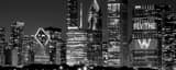 Panoramic The Chicago Skyline during 2016 World Series landscape black and white Photography