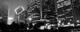 Panoramic The Chicago Skyline from Columbus Drive and Randolph St. landscape black and white Photography
