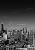 Vertical The Chicago Skyline from McCormick Place landscape black and white Photography