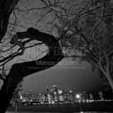 Square The Chicago Skyline from the Shedd Aquarium landscape black and white Photography