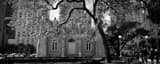 Panoramic Spring in Chicago landscape black and white Photography