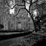 Square Spring in Chicago landscape black and white Photography