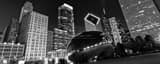 Panoramic The Cloud Gate Bean at Night landscape black and white Photography