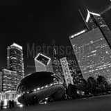 Square The Cloud Gate Bean at Night landscape black and white Photography