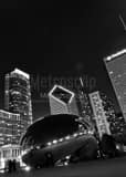 Vertical The Cloud Gate Bean at Night landscape black and white Photography