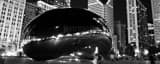 Panoramic Cloud Gate in Millenium Park landscape black and white Photography