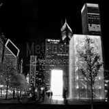 Square A Sapling is Silhouetted by the Crown Fountain in Millennium Park landscape black and white Photography