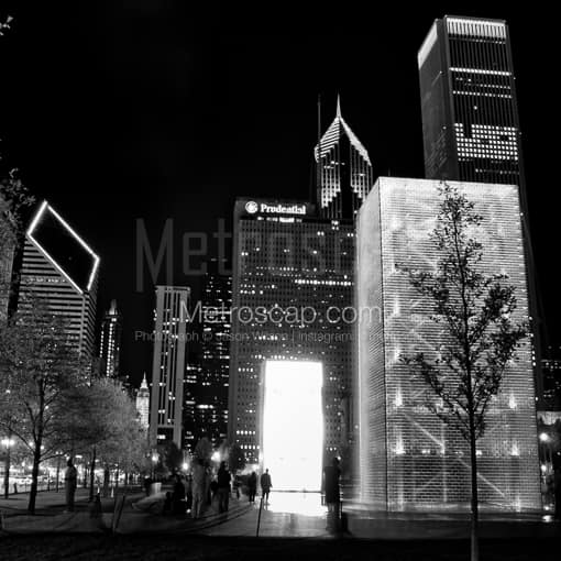 A Sapling is Silhouetted by the Crown Fountain in Millennium Park -- Chicago Black and White Photography