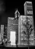 Vertical A Sapling is Silhouetted by the Crown Fountain in Millennium Park landscape black and white Photography