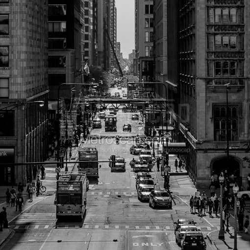 Double Decker Tour Buses on Monroe Street -- Chicago Black and White Photography