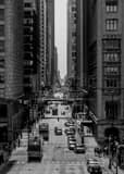 Vertical Double Decker Tour Buses on Monroe Street landscape black and white Photography
