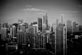 Horizontal Downtown Chicago from McCormick Place landscape black and white Photography