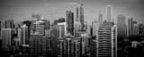 Panoramic Downtown Chicago from McCormick Place landscape black and white Photography