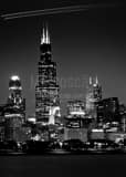 Vertical The Downtown Chicago Skyline from Adler Planetarium landscape black and white Photography