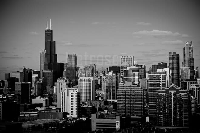 Downtown Chicago and Willis Tower -- Chicago Black and White Photos