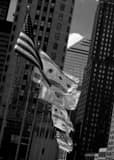 Vertical Flags Along the Michigan Avenue Bridge landscape black and white Photography