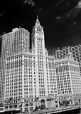 Vertical Magnificent Michigan Avenue and the Tribune and Wrigley Buildings landscape black and white Photography