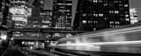 Panoramic A Metra Train Arrives in Chicago from Milwaukee landscape black and white Photography