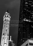 Vertical The Old Chicago Water Tower is Dwarfed by the Hancock Tower landscape black and white Photography