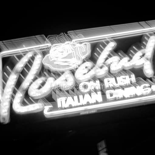 Rosebud on Rush -- Chicago Black and White Photography