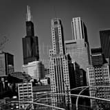 Square The Sears Tower from Daley Plaza in Grant Park landscape black and white Photography
