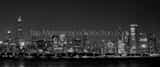 Panoramic The Sears Tower and Go Cubs in the Chicago Skyline landscape black and white Photography