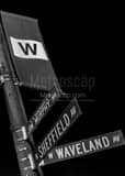 Vertical Sheffield and Waveland Street Signs landscape black and white Photography