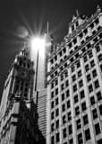 Vertical The Morning Sun Reflects off of Trump Tower between the Wrigley Buildings landscape black and white Photography