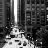 Square A Tilt-Shift Look of Monroe Street landscape black and white Photography
