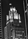 Vertical Tribune Tower from Columbus Drive Framed Photos