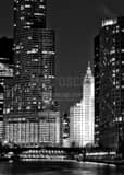 Vertical Trump Tower and Wrigley Building from Lakeshore Drive Framed Photos