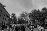 Horizontal The Waveland Avenue Ballhawks during 2016 Game 3 World Series Batting Practice landscape black and white Photography