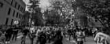 Panoramic The Waveland Avenue Ballhawks during 2016 Game 3 World Series Batting Practice landscape black and white Photography