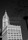 Vertical 6:54pm on the Wrigley Building landscape black and white Photography